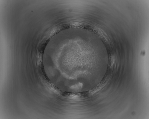 X0000097460236200802221220