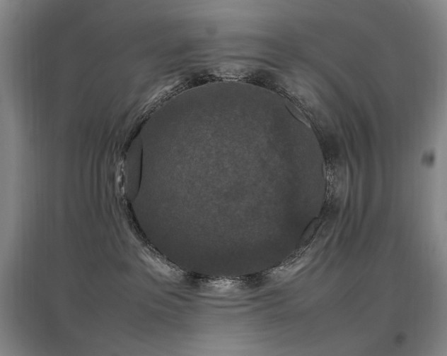 X0000097460237200802221220
