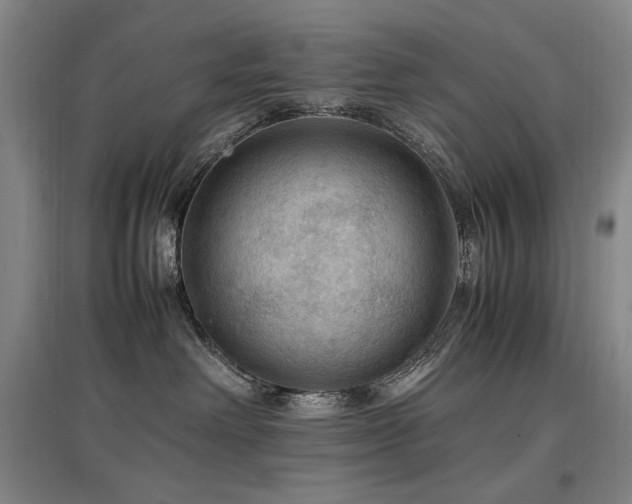 X0000097460238200802221220