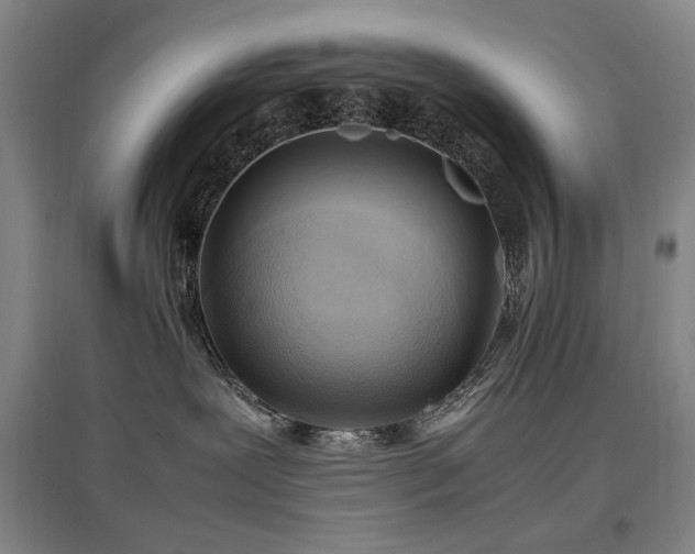 X0000097460239200802221220