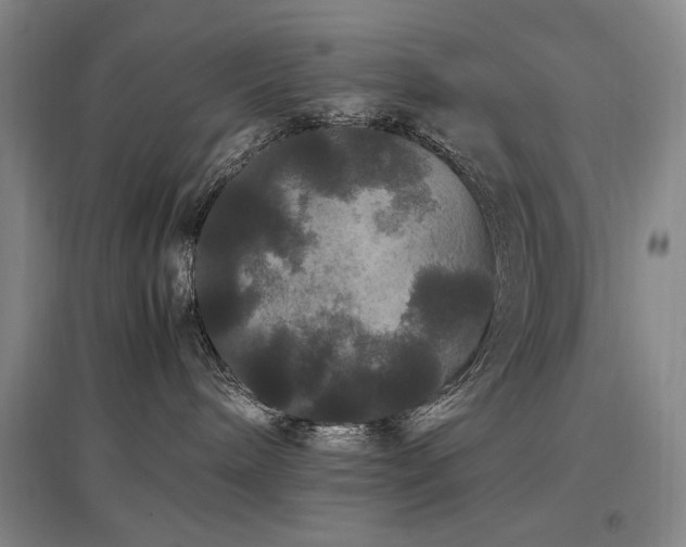 X0000097460240200802221220