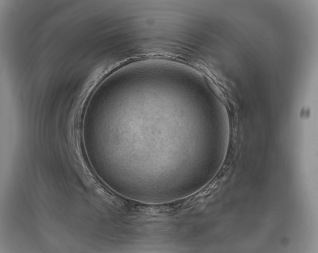 X0000097460241200802221220