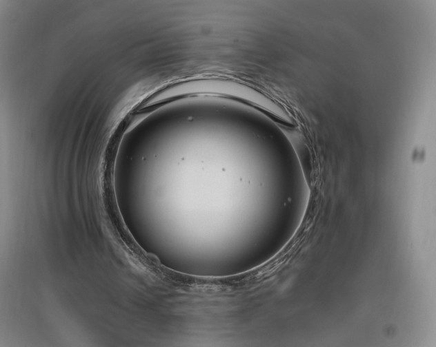 X0000097460242200802221220