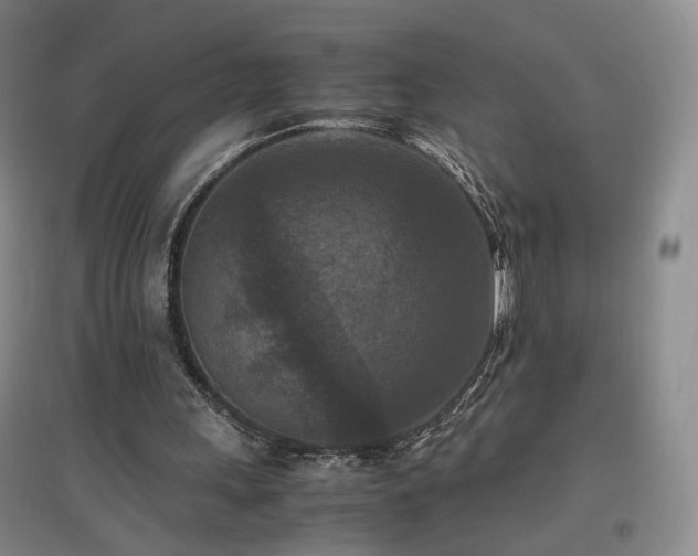 X0000097460243200802221220