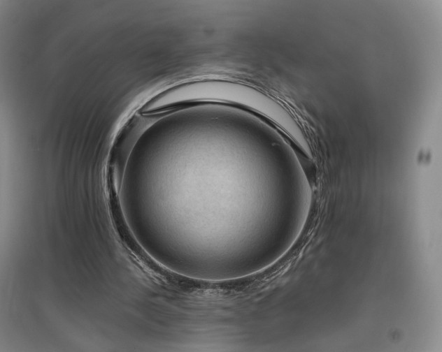 X0000097460244200802221220