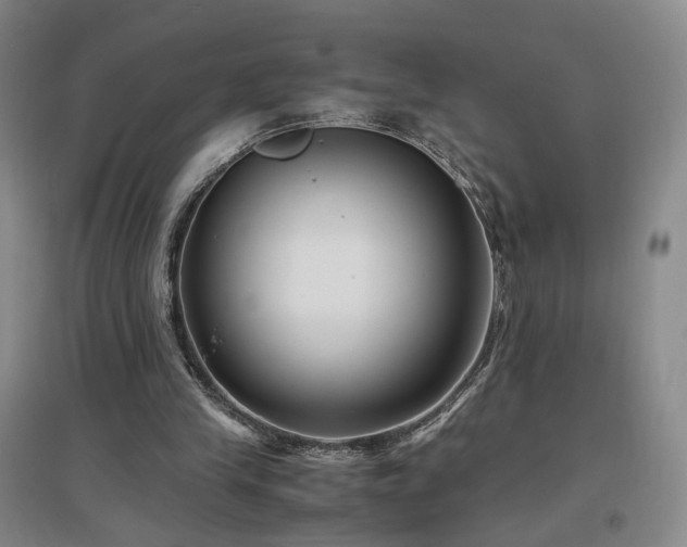 X0000097460245200802221220