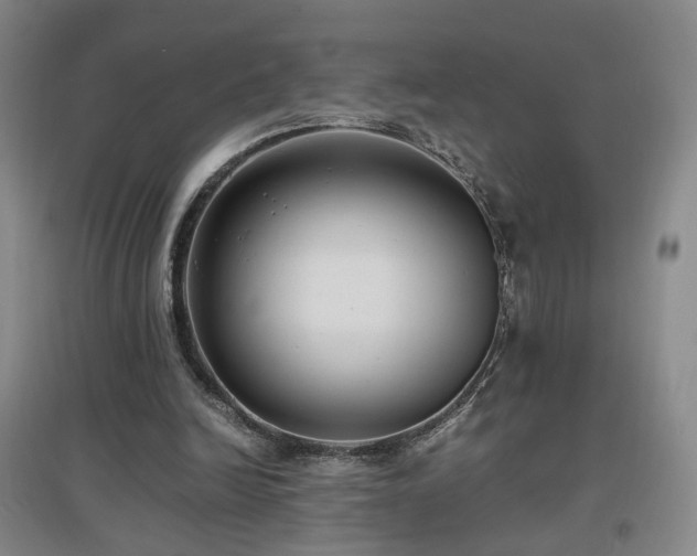 X0000097460246200802221220