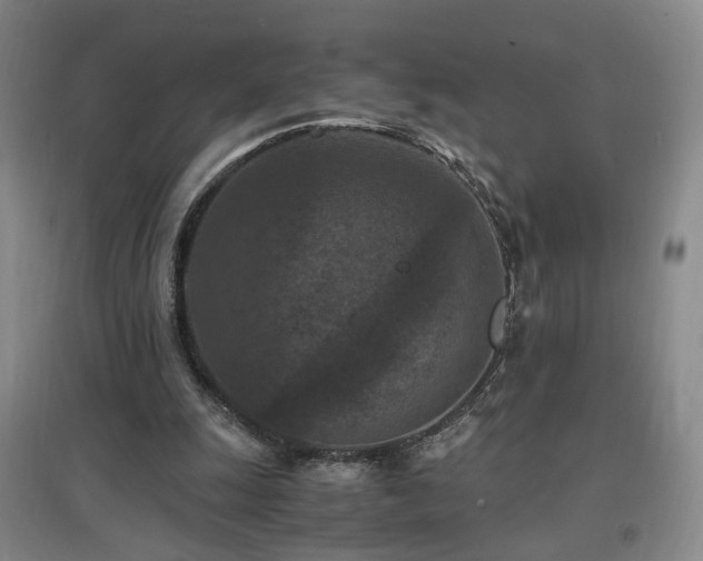 X0000097460247200802221220