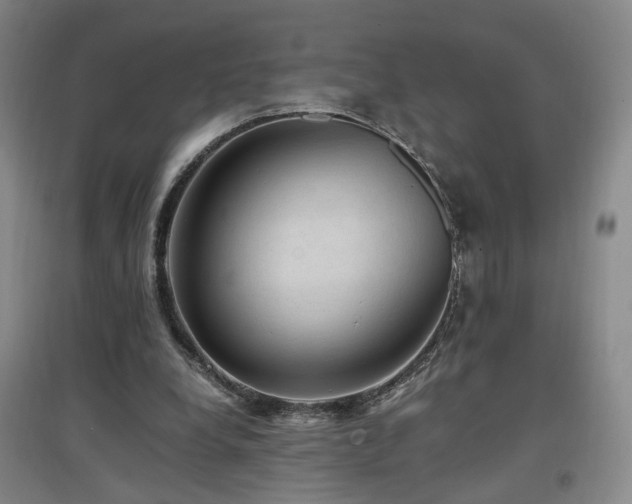 X0000097460248200802221220