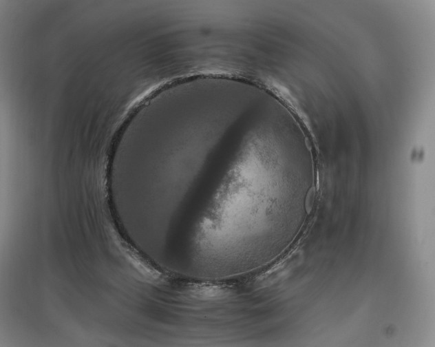 X0000097460249200802221220
