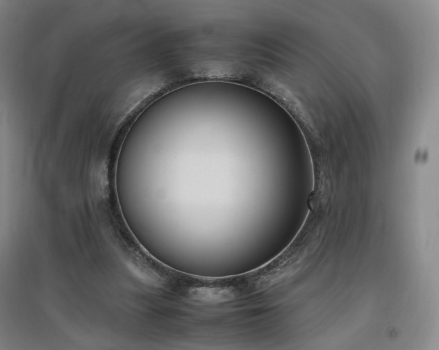 X0000097460251200802221220