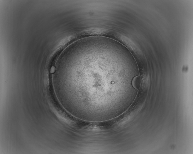 X0000097460254200802221220