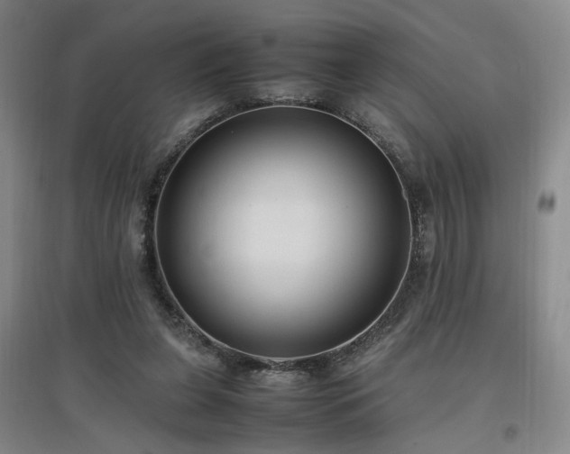 X0000097460255200802221220