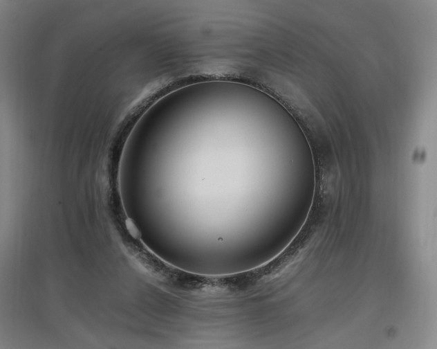 X0000097460256200802221220