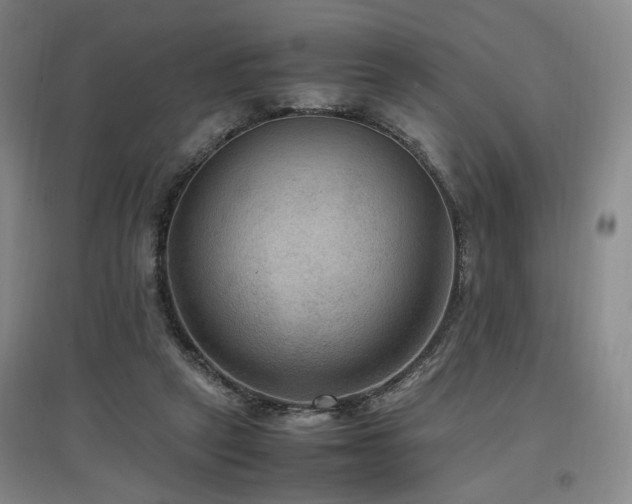 X0000097460257200802221220