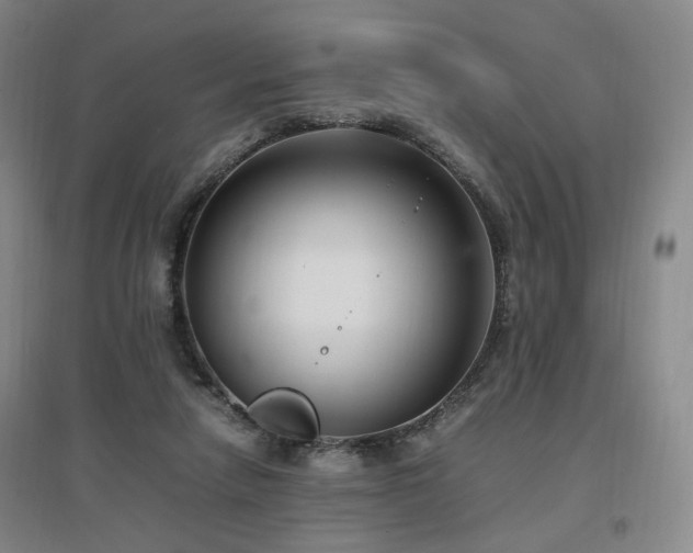 X0000097460258200802221220