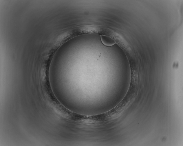 X0000097460259200802221220