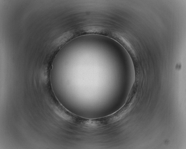 X0000097460261200802221220
