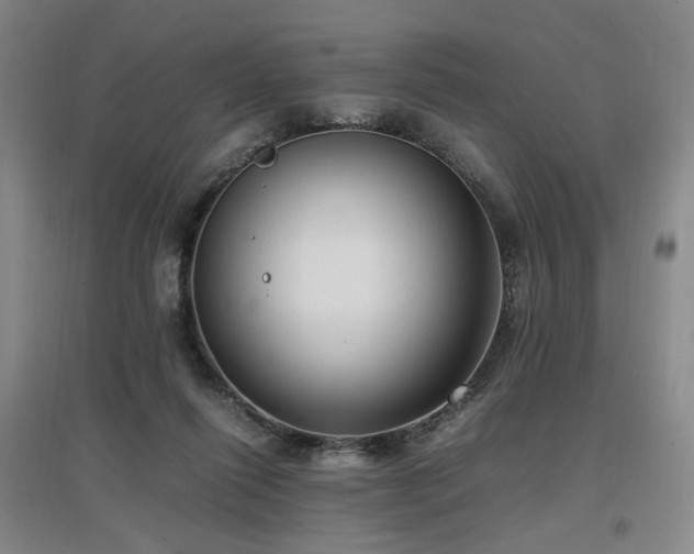 X0000097460262200802221220