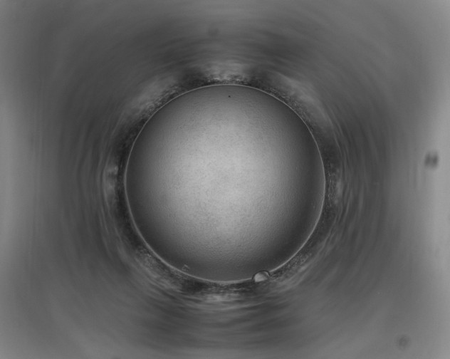 X0000097460263200802221220