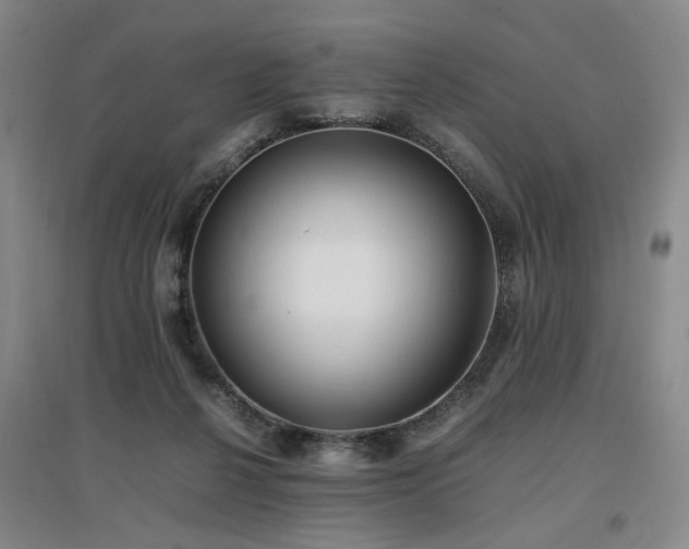 X0000097460264200802221220