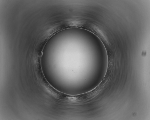 X0000097460265200802221220