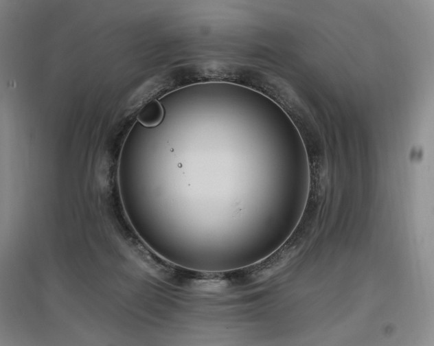 X0000097460266200802221220