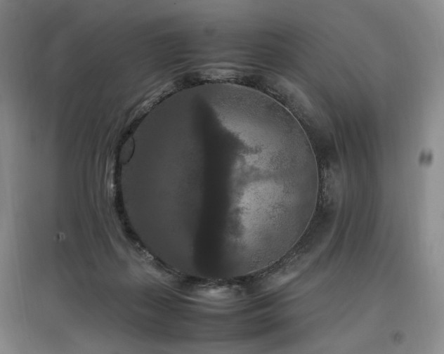 X0000097460267200802221220