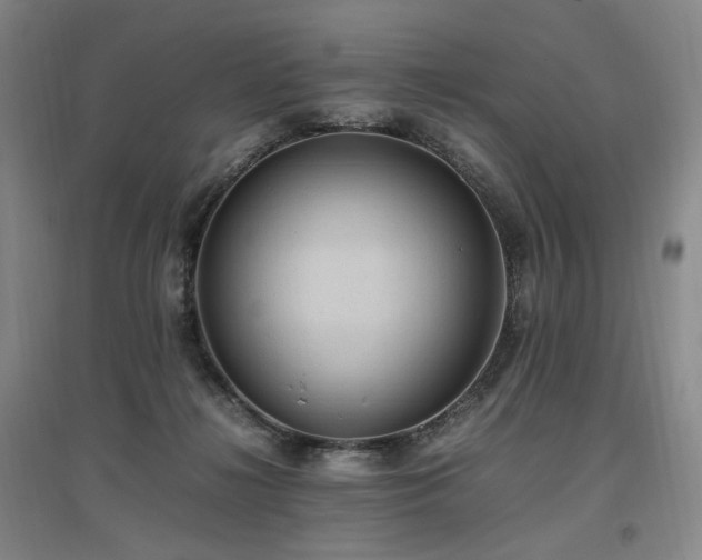 X0000097460268200802221220
