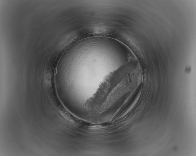X0000097460269200802221220