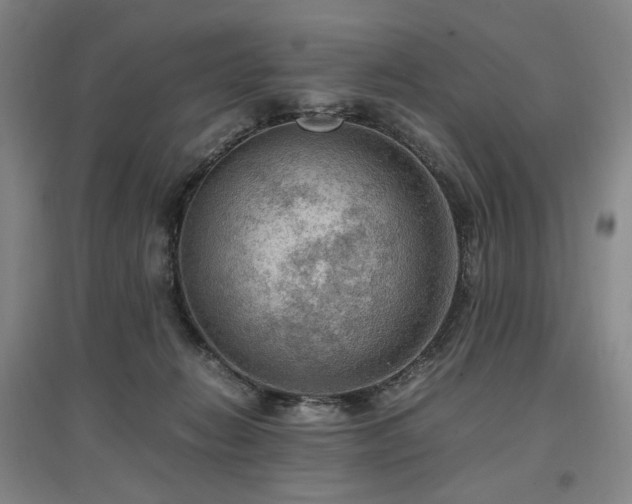 X0000097460270200802221220