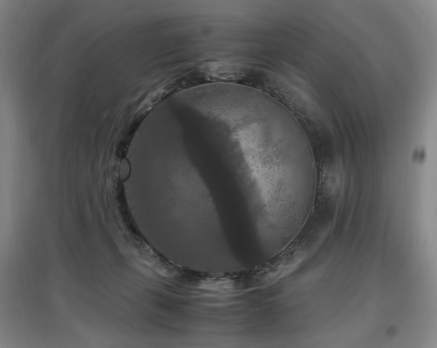 X0000097460271200802221220