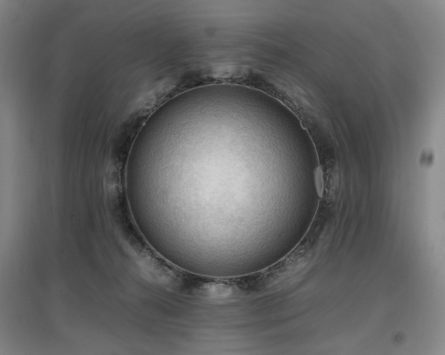 X0000097460272200802221220