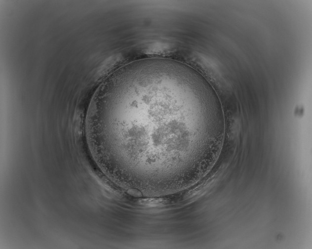 X0000097460273200802221220