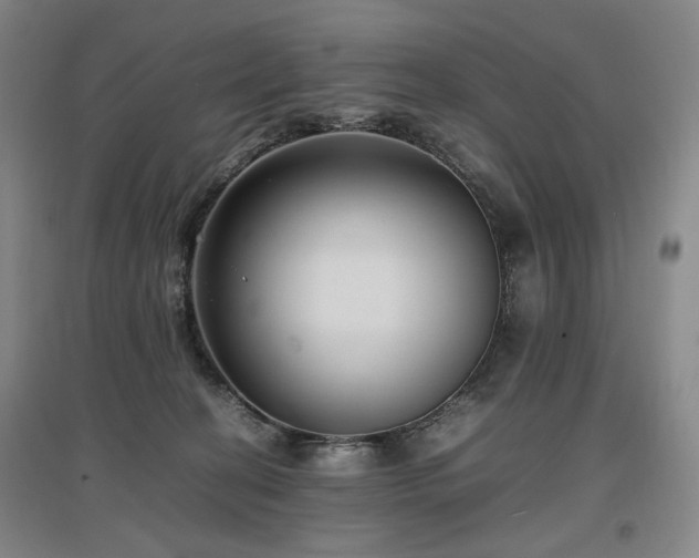 X0000097460274200802221220