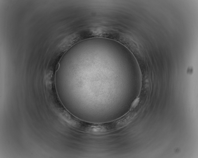 X0000097460275200802221220