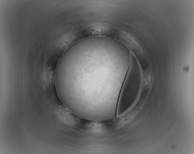 X0000097460276200802221220