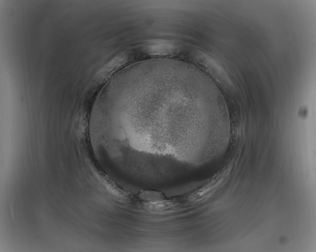 X0000097460277200802221220