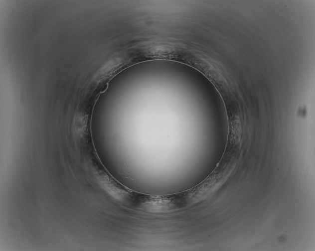 X0000097460278200802221220