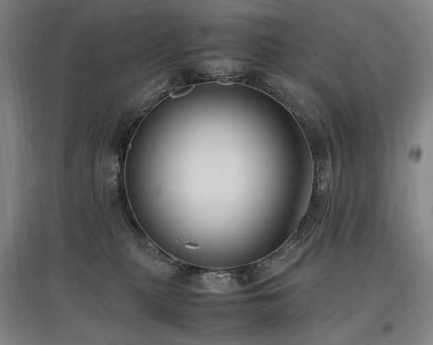X0000097460279200802221220