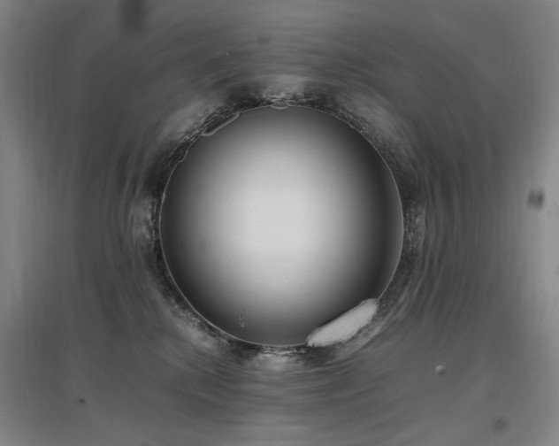 X0000097460280200802221220