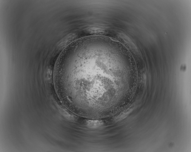 X0000097460281200802221220