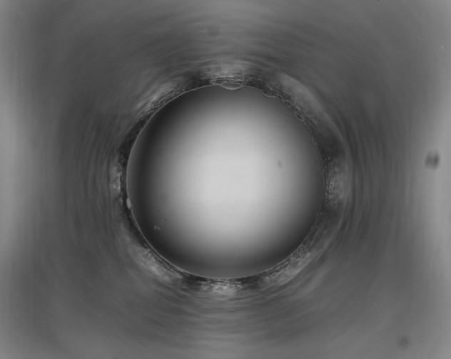 X0000097460282200802221220