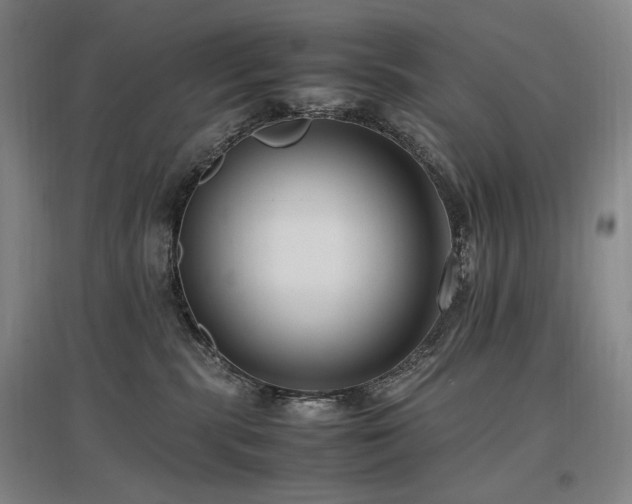 X0000097460283200802221220
