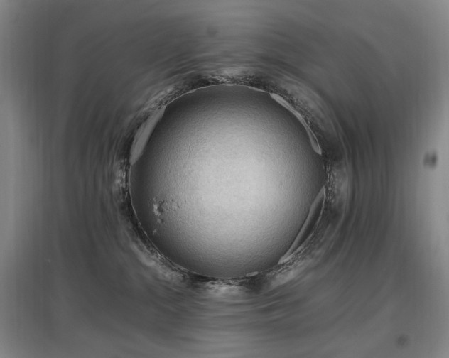 X0000097460284200802221220