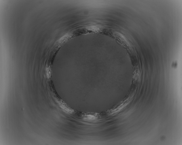 X0000097460285200802221220