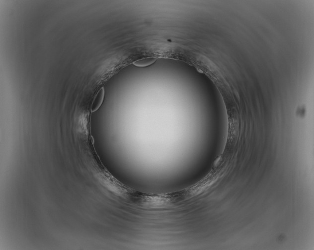 X0000097460286200802221220