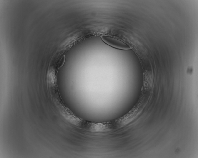 X0000097460287200802221220