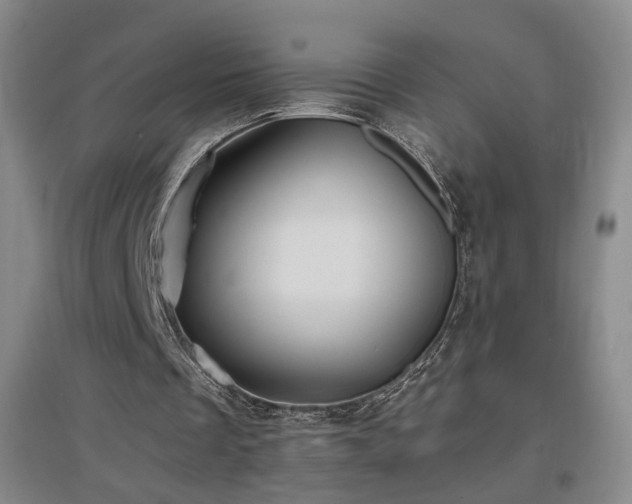 X0000097460289200802221220