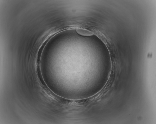 X0000097460290200802221220